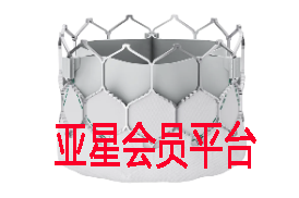 意意测试新闻